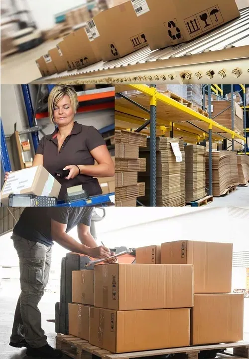 talerze-jednorazowe-papierowe-obiadowe-deserowe-grill-piknik-23cm-100szt