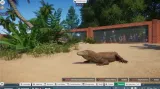 planet-zoo-console-edition-nowa-pl-ps5-rodzaj-wydania-podstawa