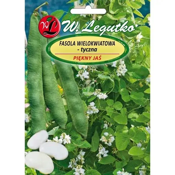 fasola-jas-nasiona-40-g-marka-w-legutko
