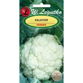 nasiona-legutko-kalafior-pionier-1-g