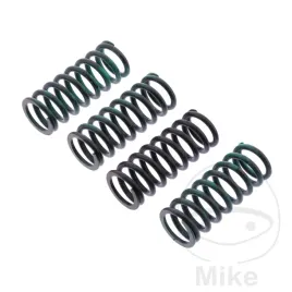 trw-lucas-zf-sprezyny-sprzeglowe-yamaha-yzf-r3-15-mt-03-15-