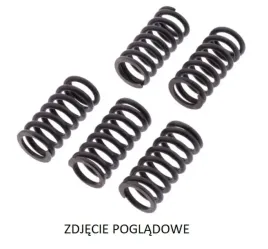 trw-lucas-zf-sprezyny-sprzeglowe-yamaha-ys-125-17-
