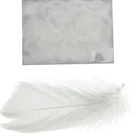 piorka-biale-w-boksie-pvc-dodatek-do-kompozycji-wiosennych-wielkanocnych