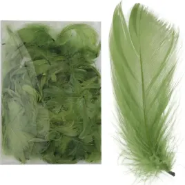 piorka-zielone-w-boksie-pvc-do-kompozycji-wiosennych-wielkanocnych