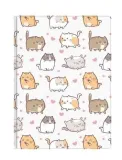 notes-a6-60-kartek-krata-kittens