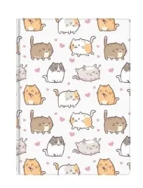 notes-a6-60-kartek-krata-kittens