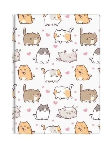 notes-a6-60-kartek-krata-kittens