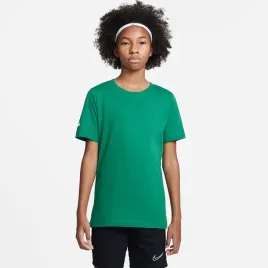 koszulka-nike-park-20-ss-tee-junior-cz0909-302-zielony-m-137-147