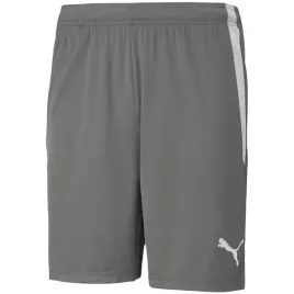 spodenki-meskie-puma-teamliga-szare-704924-13-2xl