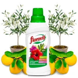 florovit-plynny-nawoz-odzywka-do-roslin-srodziemnomorskich-oleandry-cytrusy