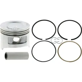 tlok-z-pierscieniami-do-briggs-fi-6760-30271149
