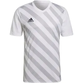 koszulka-meska-adidas-entrada-22-graphic-jersey-bialo-szara-hf0129-2xl