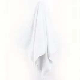 maly-recznik-do-twarzy-rak-30x50-cm-bawelna-frotte-chlonny-hotelowy-bialy