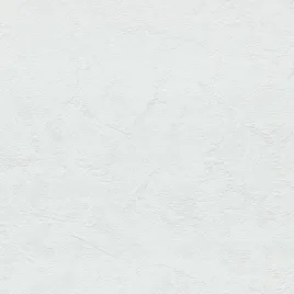 tapeta-scienna-tynk-struktura-biala-winylowa-na-flizelinie