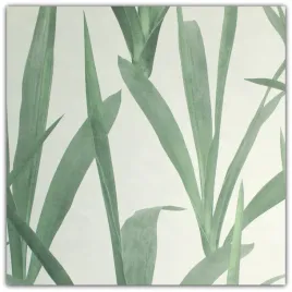 tapety-tapeta-zielone-liscie-beton-winyl-rasch
