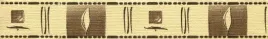 pasek-samoprzylepny-na-sciane-nr-113-3cm-5mb