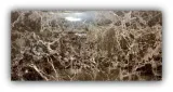 plytka-panel-scienny-samoprzylepny-pcv-marmur-60x30