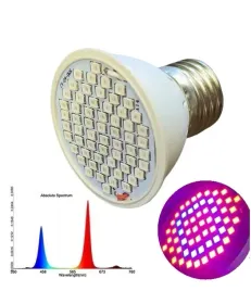 zarowka-led-grow-25w-60-led-do-uprawy-roslin-e27-prom