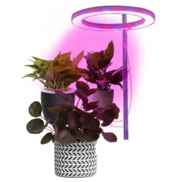 doswietlenie-roslin-doniczkowych-grow-1-x-ring