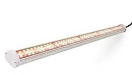 lampa-naswietlacz-grow-box-80w-220-led-full-sp