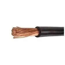 przewod-linka-lgy-1x10-10mm-czarny-1mb