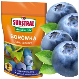 nawoz-do-borowek-substral-magiczna-sila-borowki-szybkie-efekty-wydajny