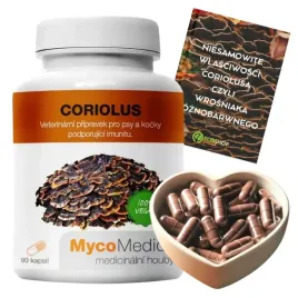 mycomedica-wrosniak-roznobarwny-90-kaps-coriolus-40percent-polisacharydow