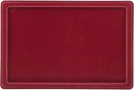paleta-na-monety-bez-zasuwki-na-1-monete-typ-p1-295x190mm