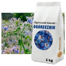 ogorecznik-lekarski-roslina-miododajna-gatunek-i-ziarno-1-kg