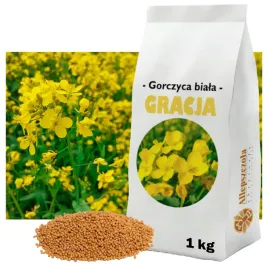 gorczyca-biala-gracja-c1-roslina-miododajna-gatunek-i-kwalifikat-1kg