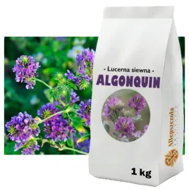 lucerna-siewna-algonquin-c1-roslina-miododajna-gatunek-i-kwalifikat-1kg