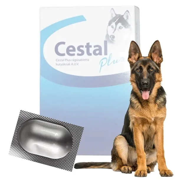 worm-tablets-for-dog-deworming-cestal-1-pc