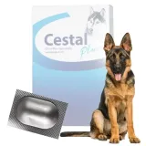 worm-tablets-for-dog-deworming-cestal-1-pc