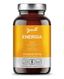 energia-50-kapsulek-panaseus