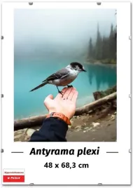 antyrama-plexi-48x683-683x48-cm-ramka-na-plakat-puzzle