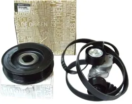 napinacz-pasek-kolo-pasowe-2-0-dci-laguna-iii-megane-iii-scenic-iii-oryg