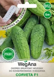 ogorek-corveta-f1-nasiona-10-g-tasma-ogorek-corveta-f1