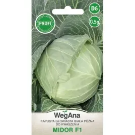kapusta-midor-f1-nasiona-05-g
