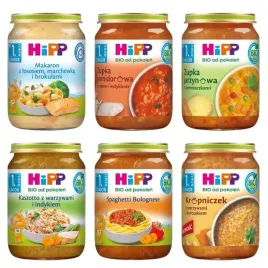 hipp-bio-dania-obiadki-po-12-miesiacu-mix-sloiczki-250g-x6