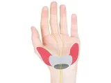 chwyty-rowerowe-ergon-gs3-l-stan-nowy-waga-280-g