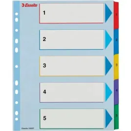 przekladki-kartonowe-mylar-a4-maxi-1-5-esselte-100