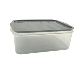 pojemnik-na-zywnosc-szary-ernesto-22-x-17-x-8-cm-175-l