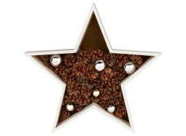 gwiazda-swiateczna-led-livarno-home-swiecaca