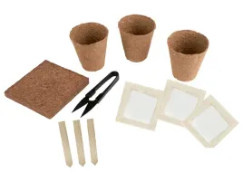 zestaw-startowy-do-uprawy-bonsai-romberg-z-nozyczkami