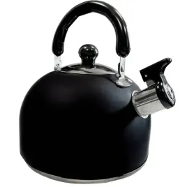 czajnik-stalowy-czarny-indukcja-gaz-z-gwizdkiem-bezprzewodowy-25l-duzy
