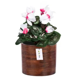 doniczka-oslonka-ceramiczna-o-165cm-h-16cm-kolor-ciemne-drzewo-mat