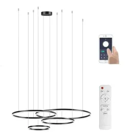 lampa-antresola-ringi-czarna-100-80-60-40-174w-500cm-bluetooth-darmat-light