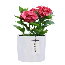 doniczka-oslonka-ceramiczna-o-135cm-h-125cm-kolor-bialy-polysk