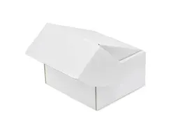 pakiet-karton-wykr-200x200x110mm-bialy-100szt