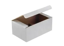pakiet-karton-wykr-250x150x100mm-bialy-100szt